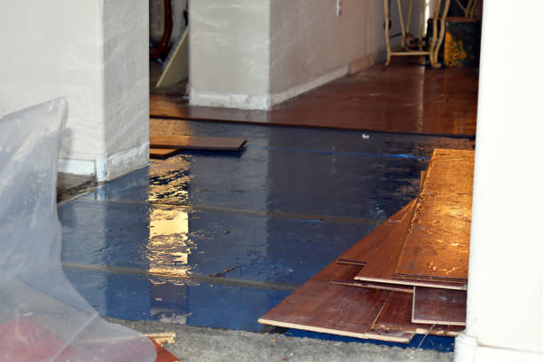 Professional Basement Flooding technician working in Peoria, IL